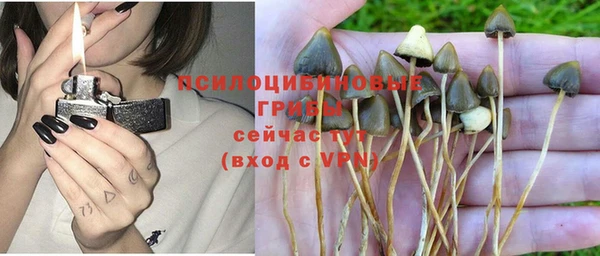 МДПВ Остров